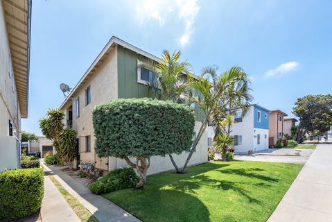 11834 Eucalyptus-2836