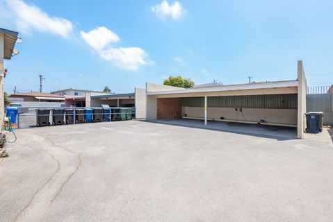 11834 Eucalyptus-2853