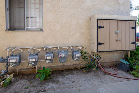 11834 Eucalyptus-2880