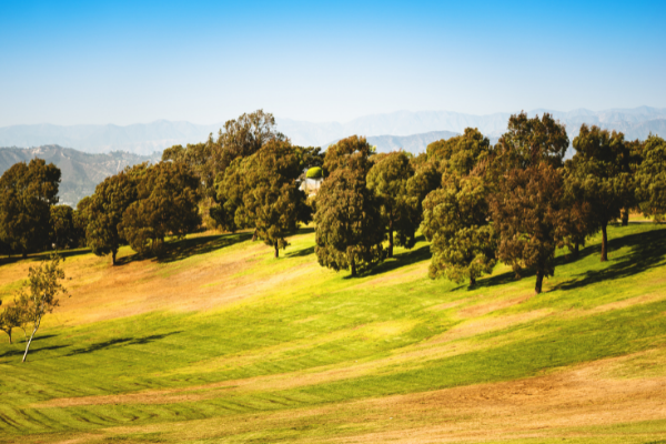 9 Best National Parks Near Los Angeles