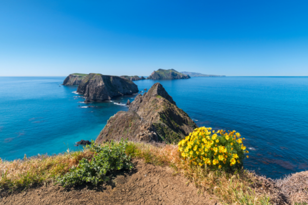 Channel Islands National Park