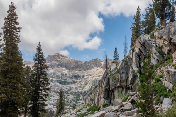 Sequoia National Park