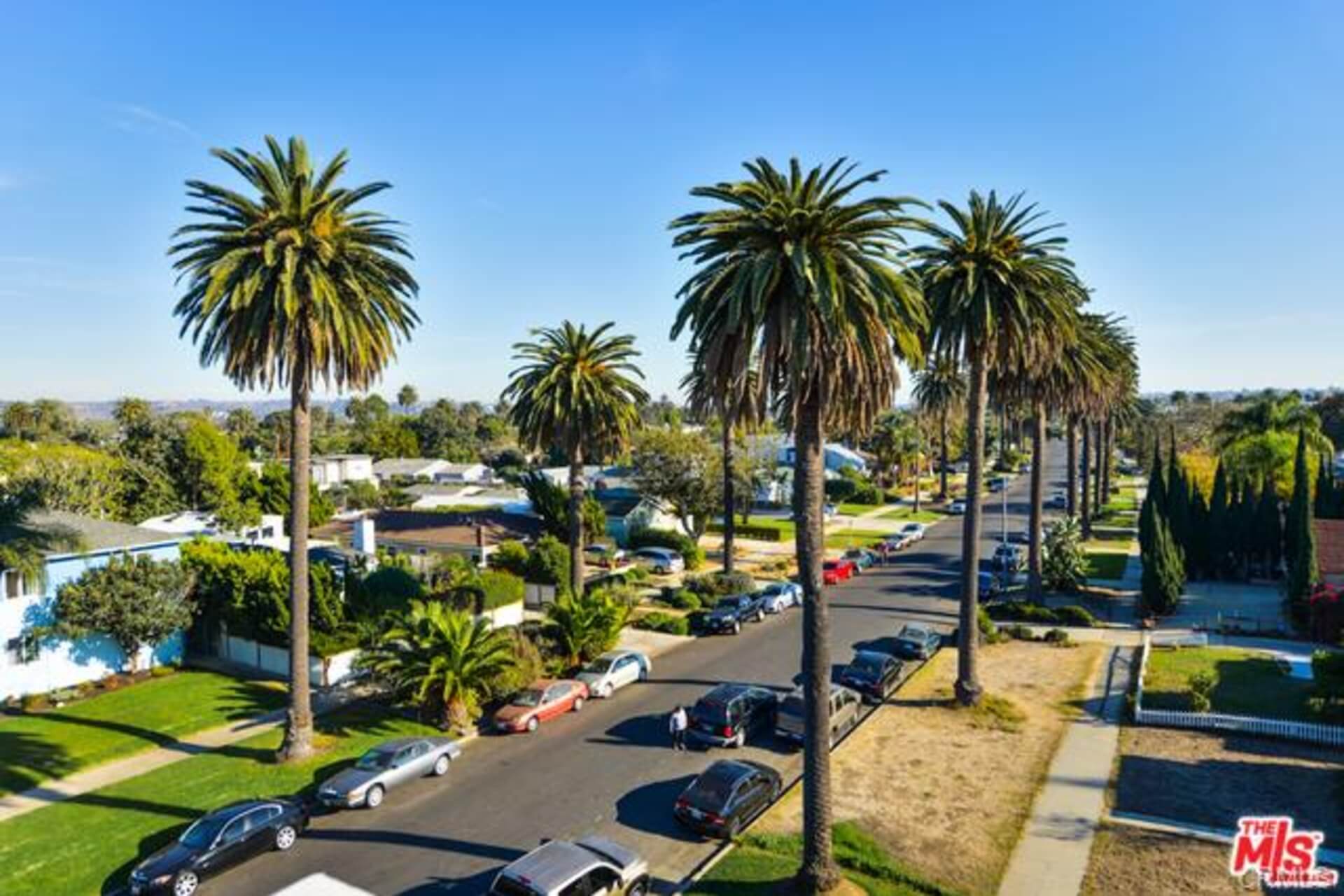 Palms – Mar Vista