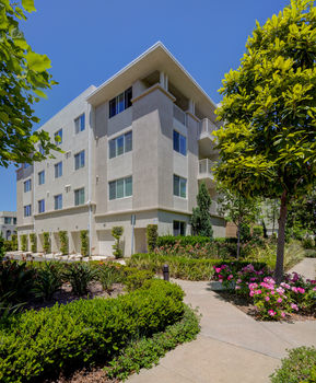 13024 Union Ave #302-50