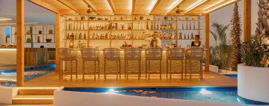 VIceroy Los Cabos Luxury Resort 15