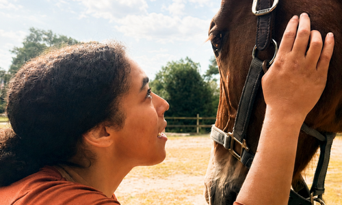 What a Horse Knows Before You Do