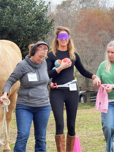 Participants completing a ground-based equine assisted learning exercise with horses in an outdoor arena.