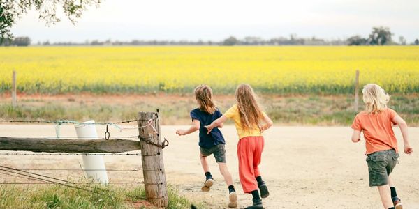 Newsletter: Canada Post Strike Affects Crop Insurance Payments