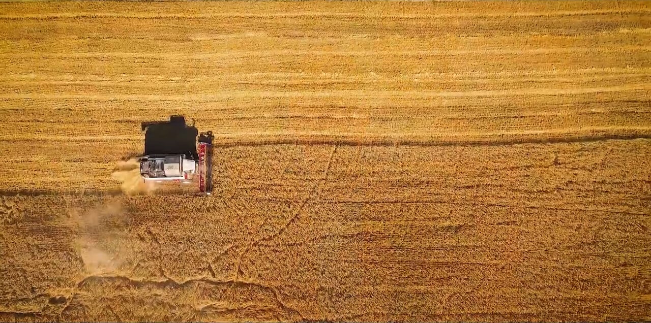 Cawkwell Group - Selling Family Farm