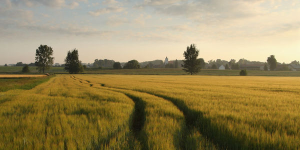 Bank of Canada Interest Rate Cut