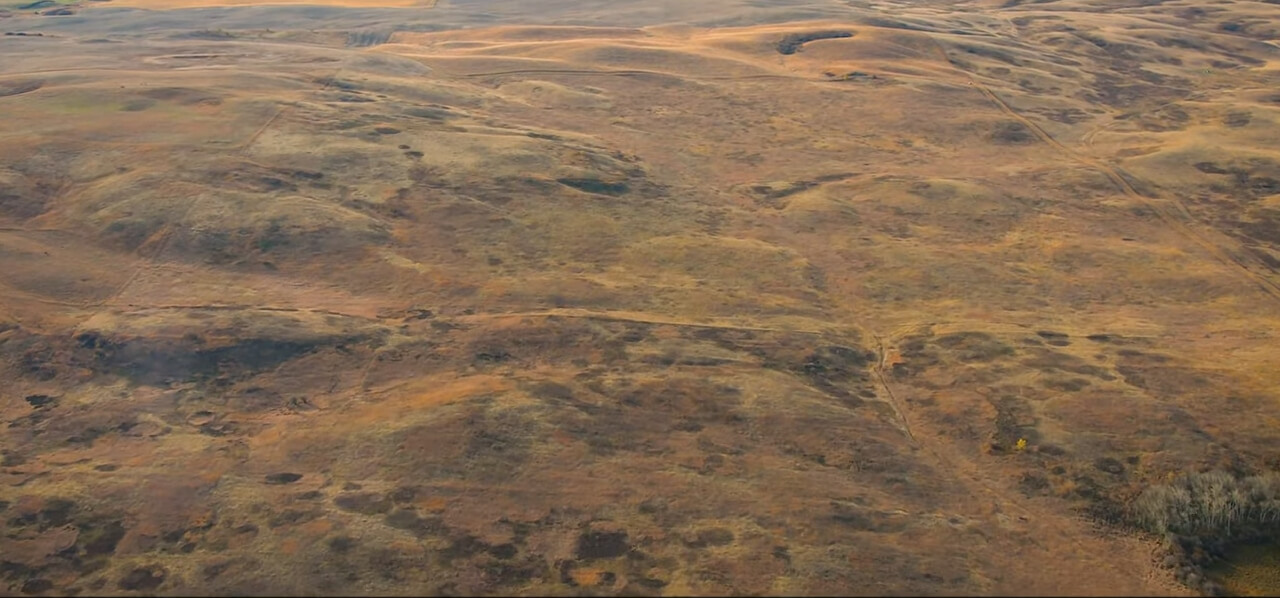 FOR SALE - RM OF PERDUE_