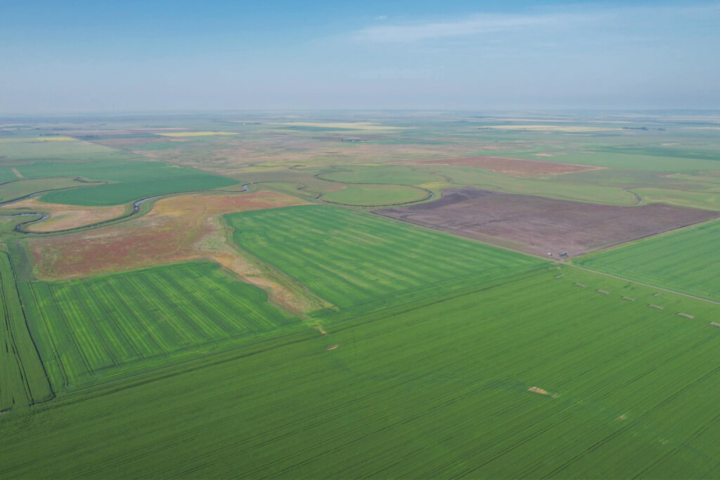 Quinton-Sale Featured Image (1)