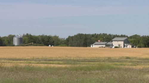 Ted Cawkwell - Press Image 1