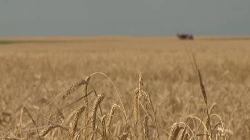 Ted Cawkwell - Press Image 2