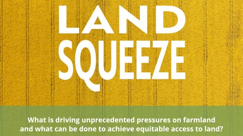 Ted Cawkwell - Press Image 5 (1)