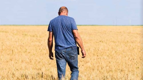 Ted Cawkwell - Press Image 8