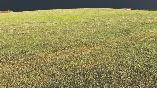 Ted Cawkwell - Press Image 9