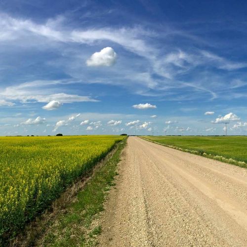 Top 5 Mistakes to Avoid When Selling Your Farmland in Saskatchewan