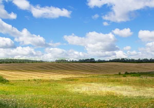 Legal Steps to Transfer Farmland to Family Members in Canada