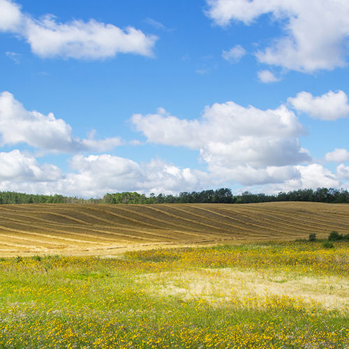 Legal Steps to Transfer Farmland to Family Members in Canada