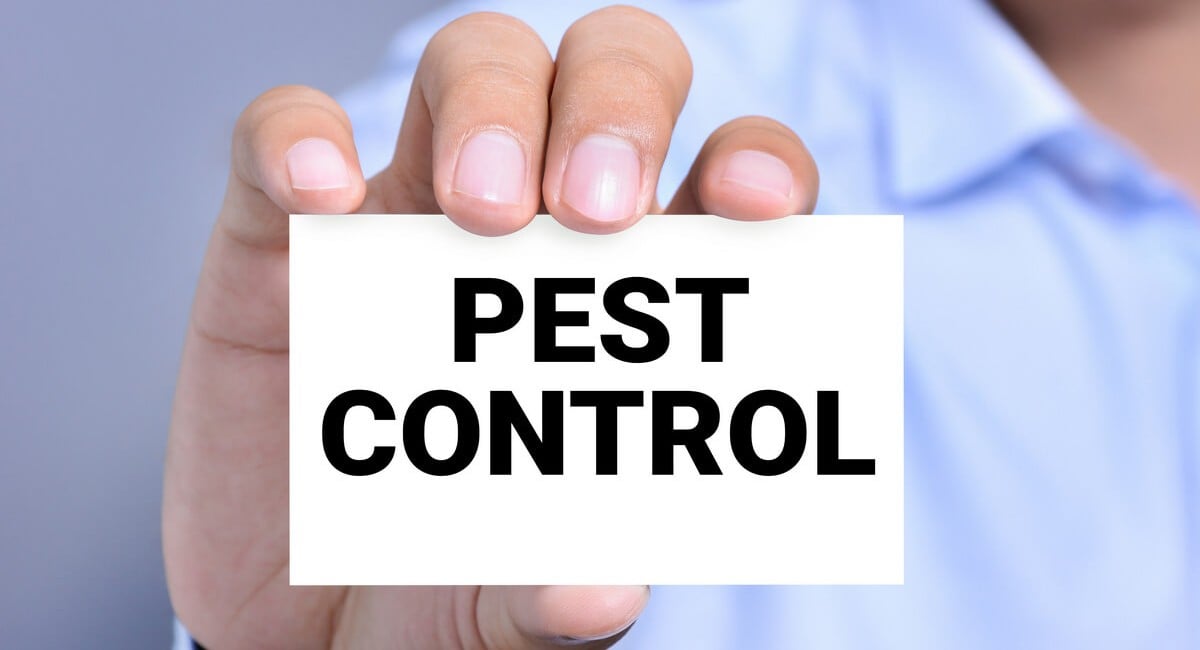 Signs of Pests