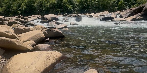 The Ocoee River Has It All...Just an Hour …