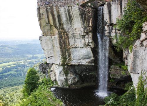 Untitled design (10)