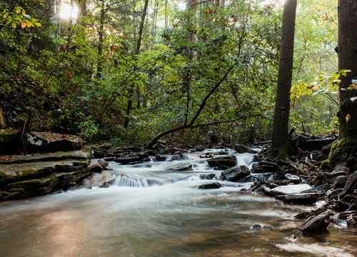 pexels-kelly-1179532-9785820