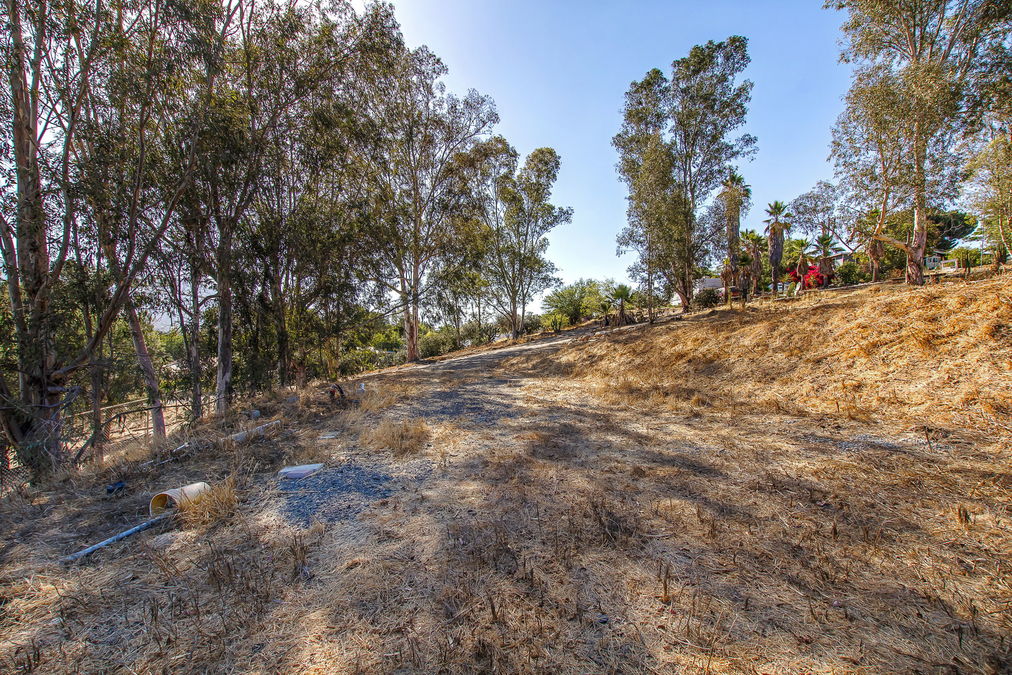 55-web-or-mls-Palomar 055