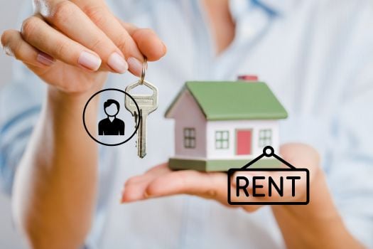 How to Check if a House Is Owner-Occupied or Rented