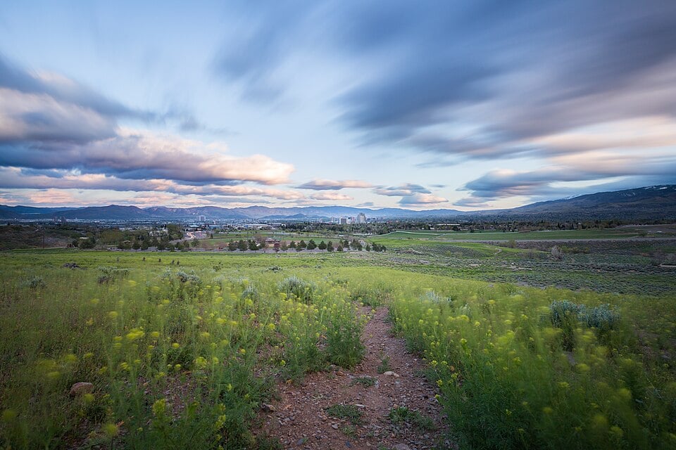 Scenic view of Reno Nevada with green trees and buildings