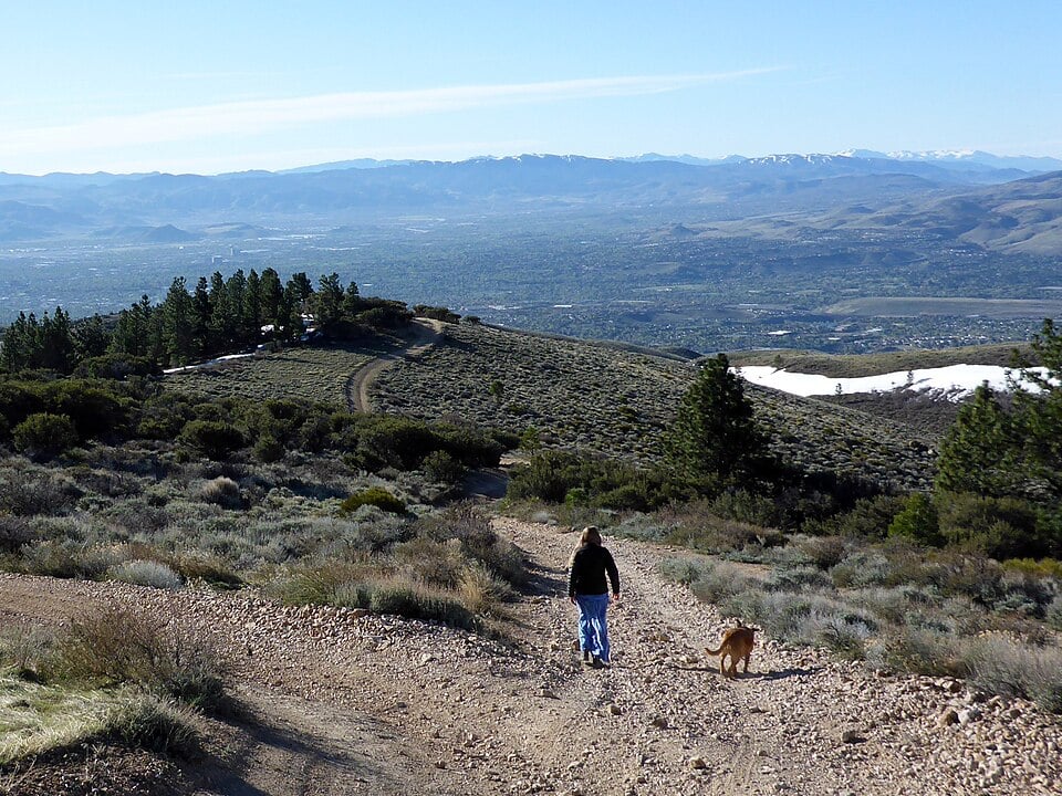 Neighborhood view in the Reno Nevada area