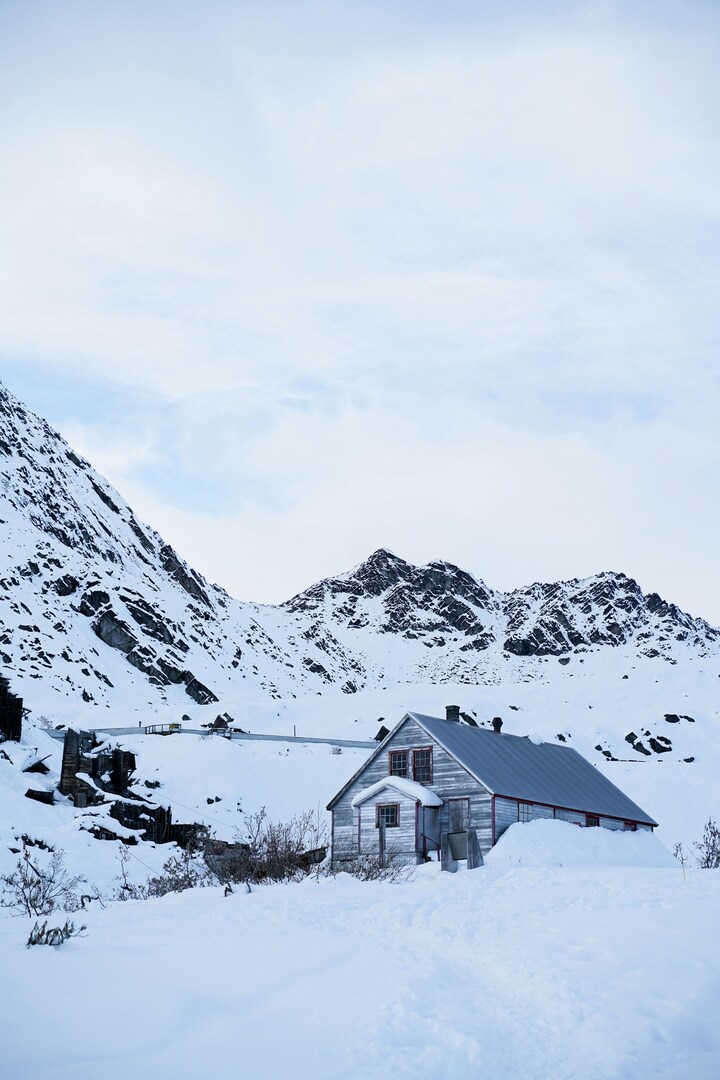 zak-bernadsky-wcOZzBP3prI-unsplash