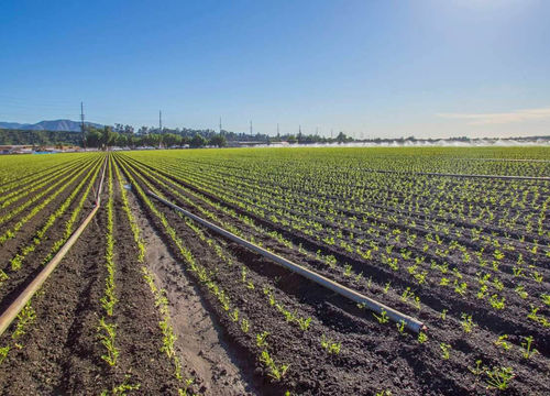 Somis-CA-Homes-For-Sale