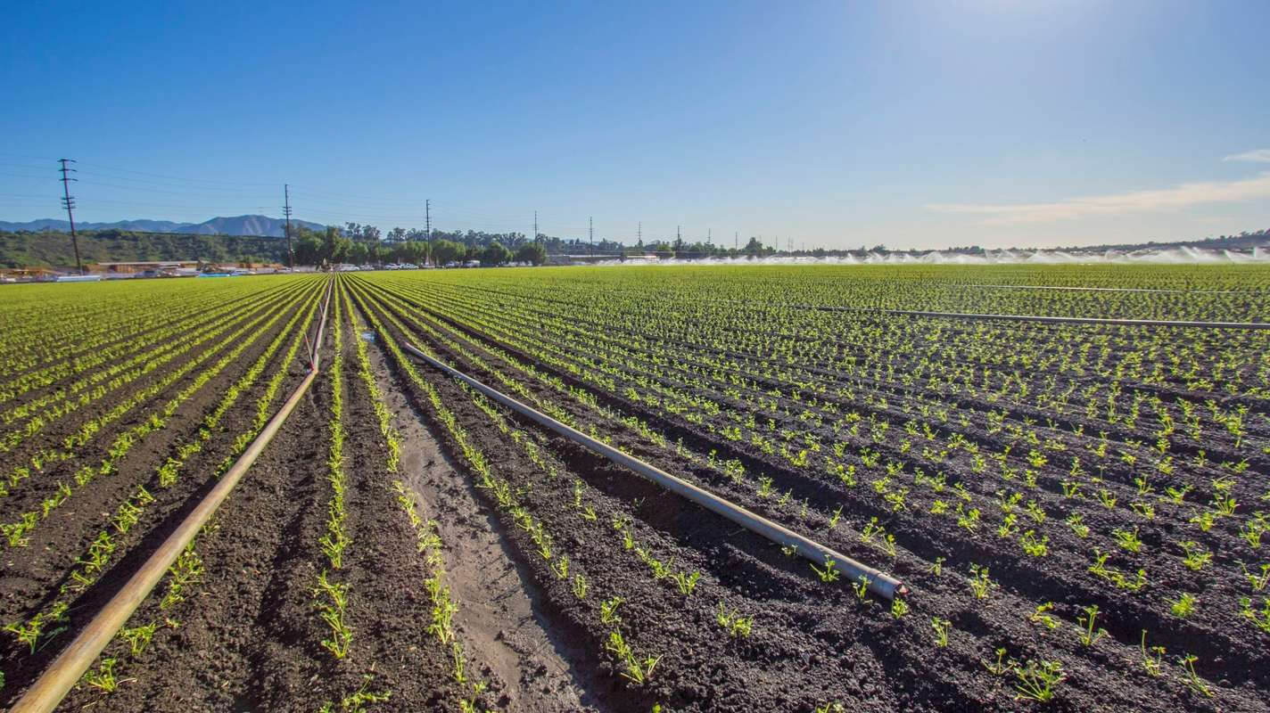 Somis-CA-Homes-For-Sale