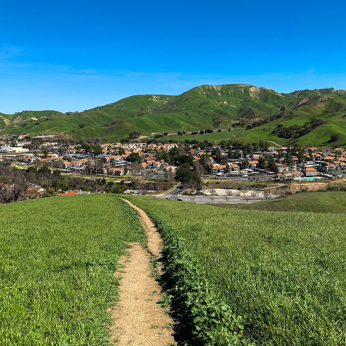 Discover-Life-in-Calabasas