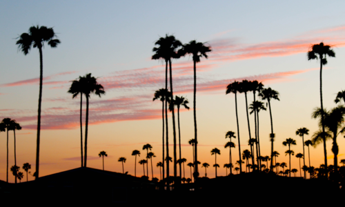 Why Your Neighbors Use Stephen