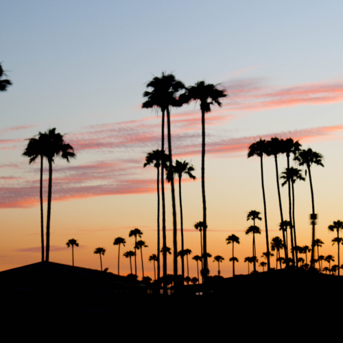 Why Your Neighbors Use Stephen