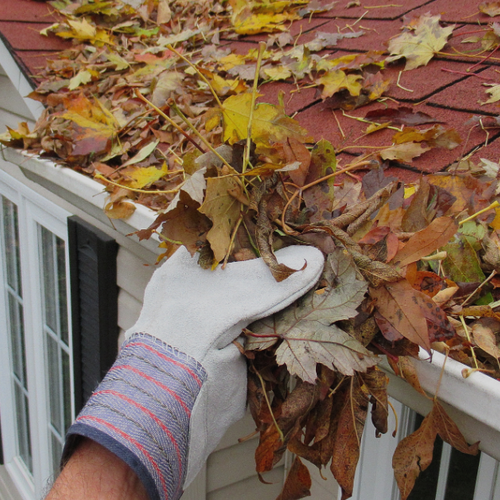 From Summer to Fall: Essential Home Maintenance Tips for Eau Claire Homeowners