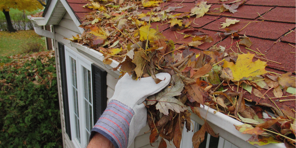 From Summer to Fall: Essential Home Maintenance Tips …