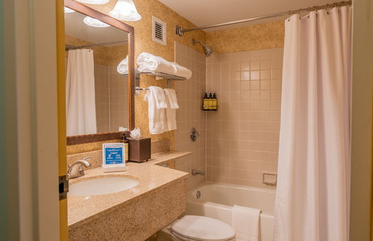 15-web-or-mls-Sugarloaf Hotel-15