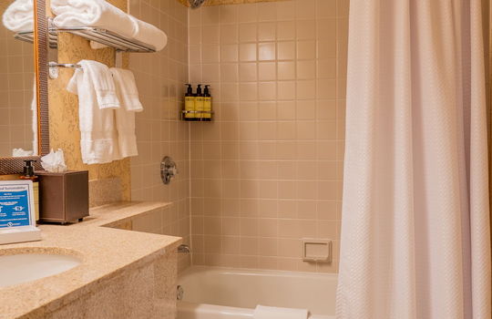 17-web-or-mls-Sugarloaf Hotel-17