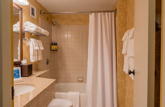 18-web-or-mls-Sugarloaf Hotel-18