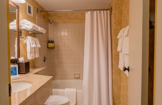 19-web-or-mls-Sugarloaf Hotel-19