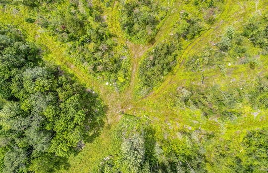 26-web-or-mls-43-canaan-rd