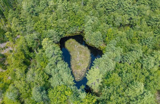 16_Three_Pond_Trail_244
