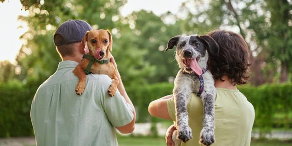 Pet Owners: Features That Quietly Add Value To &hellip;