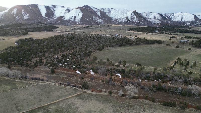 Mancos Colorado