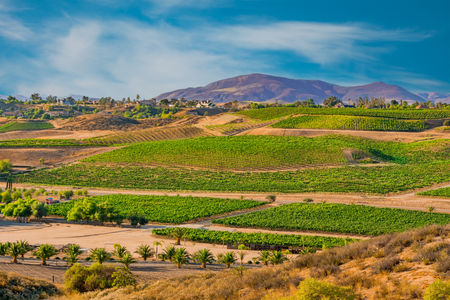 Looking,Over,The,Wine,Country,In,Temecula,Valley,Shows,New
