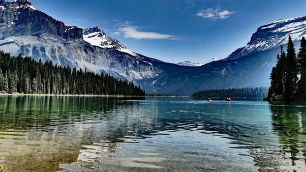 Bottom Contact Winter (1)